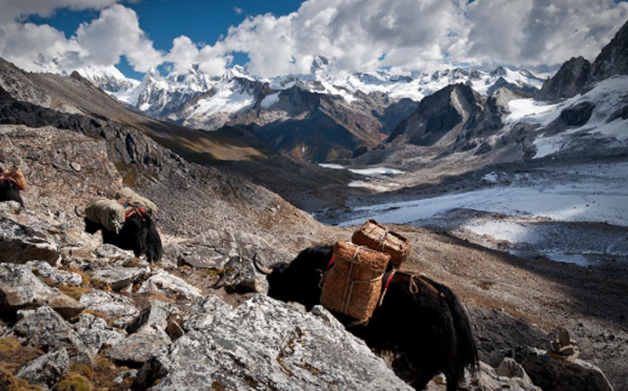 Honeymoon in Bhutan